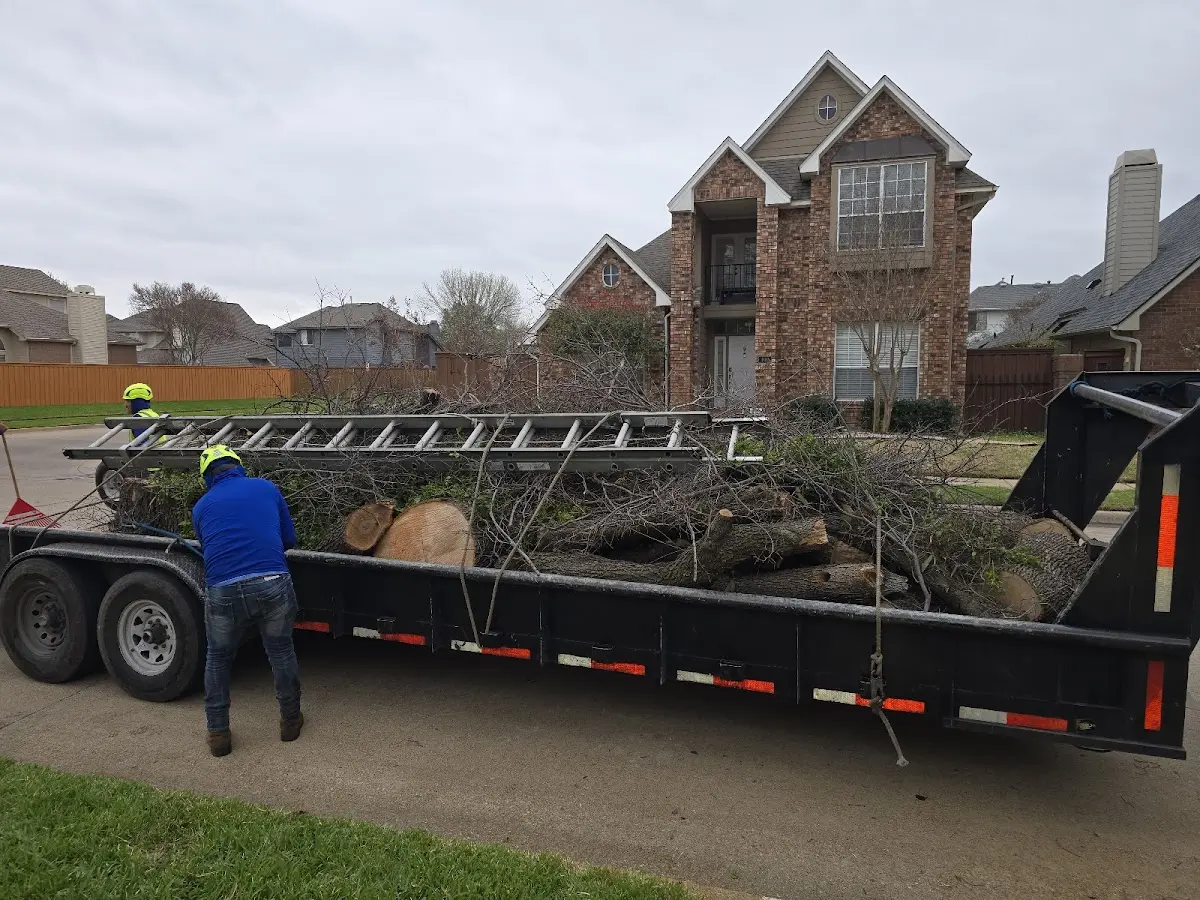 Expert Lot Clearing with proper safety equipment in Kaiser